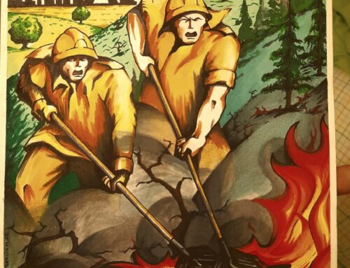 LOS BOMBEROS Y BOMBERAS FORESTALES DE MADRID SE CONCENTRAN ANTE LA SEDE NACIONAL DE TRAGSA EXIGIENDO UN CONVENIO DIGNO Y EL FIN DE LA PRECARIEDAD LABORAL