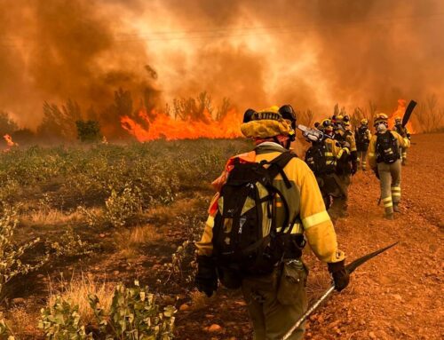 LA COORDINADORA ESTATAL DE BOMBER@S FORESTALES DE CGT DENUNCIA EL BLOQUEO POLÍTICO DEL REGLAMENTO ESTATAL DE PREVENCIÓN DE RIESGOS LABORALES PREVISTO EN LA LEY 5/2024